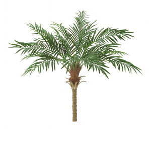 ϗtA@ԁ@tFjbNXp[c[@S150cm@V̖؃fBXvC@2