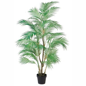 ϗtA@ԁ@145cmp[c[@|bgt@X܁EHXEItBXp@fBXvC