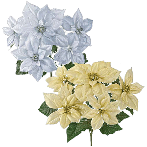 NX}X@@|CZ`A@VCj[S[WX|CZ`AubV(5)@NX}Xԑ@|CZ`AfBXvC