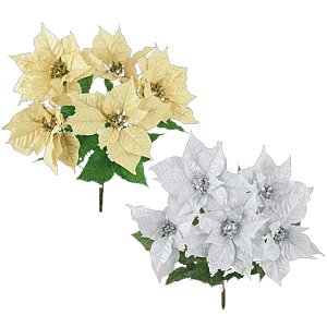 NX}X@@|CZ`A@VCj[|CZ`AubV(5)@6{Zbg̔@NX}Xԑ@|CZ`AfBXvC