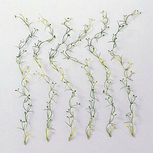 @6{@Ă̑@p@썑AfBXvC@12Zbg̔