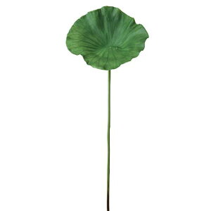 @̗t@nX[t(L)@S70cm@Ă̑@@̗tԑ@Xܑ@ԁ@ÔԂɂ