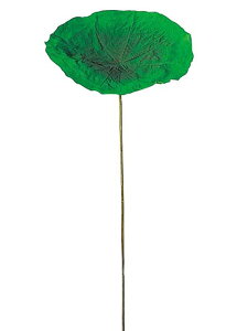 @̗t@[^X[tLTCY@3{Zbg̔@S@155cm@@̗tԑ@Xܑ@Ôԁ@