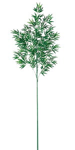 |@ou[@[@310cm@|@[p|i4jHXEZWłlC̑@fBXvC