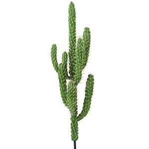 T{e@ԁ@Xܑ@fBXvC@120cmEh@tBK[JN^X@؁E֑O̐Aؑ@ϗtAԂŖ̋Ԃ