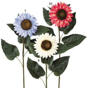 Ă̑@fBXvC@Ђ܂@N[Tt[@6{Zbg̔