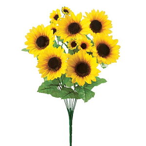 ひまわり おもちゃの人気商品 通販 価格比較 価格 Com