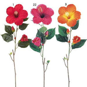 nCrXJX@fBXvC@@rbNnCrXJX@95cm