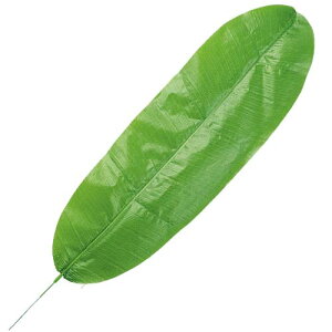 CgO[oii[t@3{Zbg̔@oii̗t@Ă̑@썑AfBXvC@Xܑ