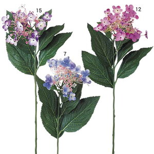 Ă̑@@ԁ@AWTC@6{Zbg̔@S75cm@3F@zԁ@CeA@Xܑ@fBXvC@t