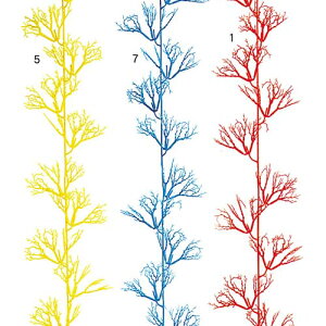 X@IuWF@180cmTSK[h@Ă̊C@fBXvCEp@3{Zbg̔