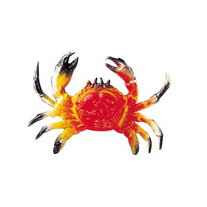 C̐@IuWF@10cmJj@Ă̊C@fBXvCEp@12Zbg̔