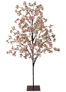 @ԁ@fBXvC@210cm GUNc[iX^htj d@̖؁@Xܑ@CxgfBXvC@c[@t@@t̑i