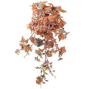 �H�̑����@�X�ܗp�f�B�X�v���C�@�t���X�g�O���[�v�u�b�V��(155)�@�u�h�E�̖؂̑����@90cm�@�H�炵�����ԁ@�I�t�B�X�E�X�܁E�V���[�E�C���h�E�����鑢��