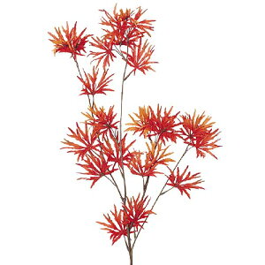 H̑@gtԁ@`~WXvC@85cm@6{Zbg̔@fBXvC@݂@Xܑi