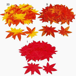 H̑@gtԁ@~W[t@50@3Zbg̔@fBXvC@݂̗tρ@Xܑi