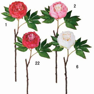 {^@Ỏԁ@ԃfBXvC@XܑɂœK@6{Zbg̔