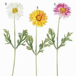 t̂ԁ@ԁ@~jf[W[@ԁ@fBXvC@Ԃ̃CeA@12{Zbg̔