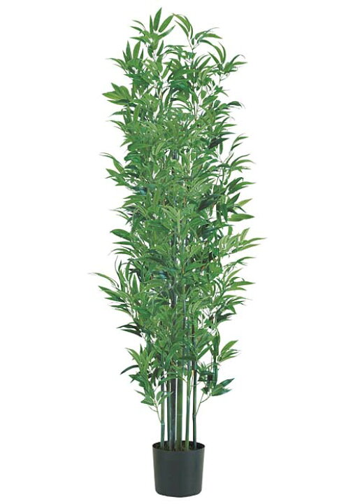 楽天市場 竹 バンブー 造花装飾 180cm竹ツリー ナチュラルトランク 鉢付き 飲食店 住宅展示場でも人気の装飾 ディスプレイ ゴールドスター