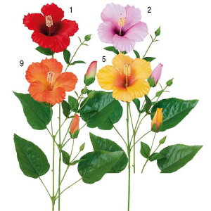 nCrXJX@fBXvC@@nCrXJX(1/3)@3Zbg̔