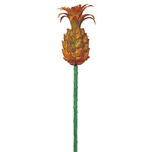 Ă̑@fBXvC@썑eCXg@~jpCibv@3Zbg̔