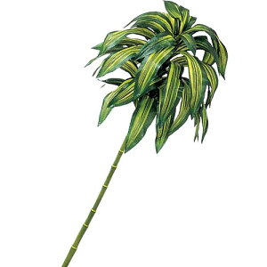 110cmR[vgc[@3{Zbg̔@Ă̑@썑AfBXvC@Xܑ