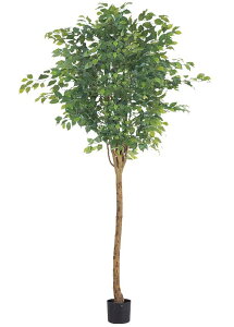 ϗtA@ԁ@210cmEhtBJXc[(i`gN)@|bg͕ʔ