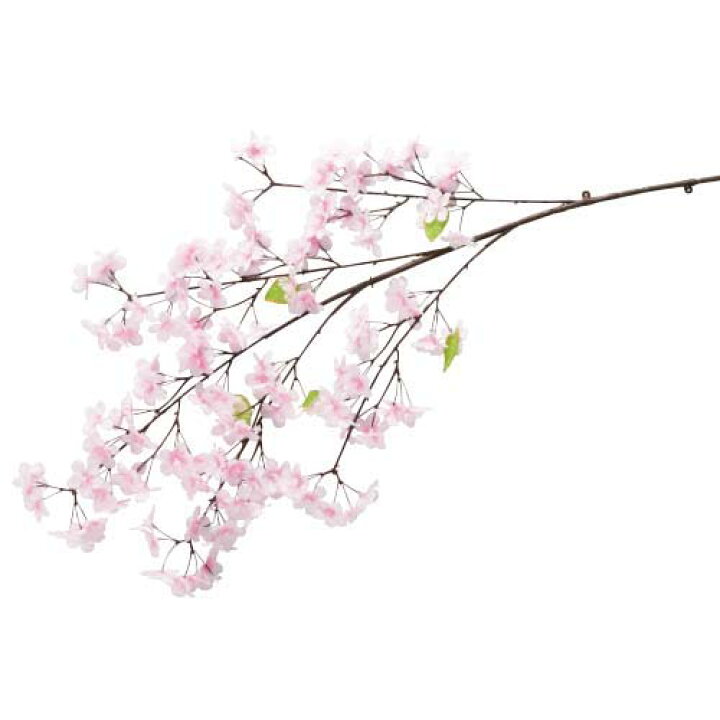 楽天市場 新桜大枝 144 全長110cm 6本セット販売 桜 造花 ディスプレイ 従来品と比べ 花の色合い 大きさ 枝の色合いが 自然な風合いです ゴールドスター 楽天市場 新桜大枝 144 全長110cm 6本セット販売 桜 造花 ディスプレイ 従来品と比べ 花の色合い 大きさ 枝の色合いが 自然な風合いです ゴールドスター