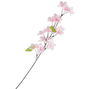 @ԁ@fBXvC@V}(18)@12{Zbg̔@S60cm@̎}@Xܑ@CxgfBXvC@t@@t̑i