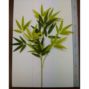 |@ou[@@|XvCi20jfBXvC@6Zbg̔