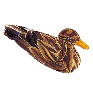 @tBMA@@25cmRK@̒u@X܁EHXEAppfBXvC