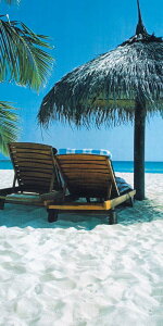 �^�y�X�g���[�@�X�N���[���@�r�[�`�p���\�����[���o�i�[�@�C���X�^�f������t�H�g�X�|�b�g���ɂ��œK�@�Ă̑����@�r�[�`�̕��i