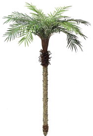 観葉植物　造花　フェニックスパームツリー　全長210cm　ヤシの木ディスプレイ　2分割