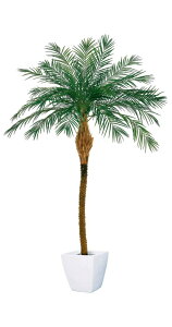 ϗtA@ԁ@v~AtFjbNXp[c[(M)@݊ocÕrbOTCY@S280cm@V̖؃fBXvC@2