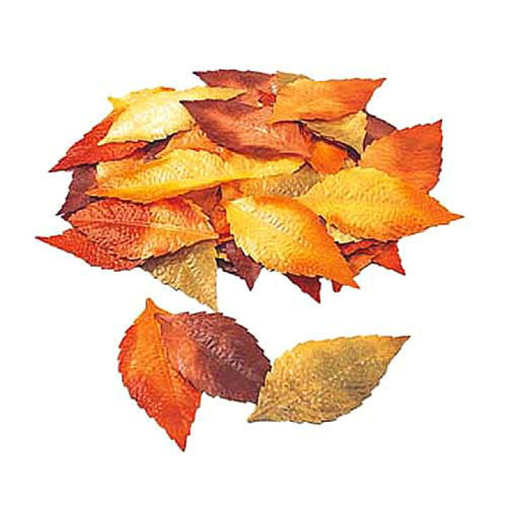 楽天市場】秋の装飾 紅葉造花 ブナリーフ50枚入り 3個セット販売 