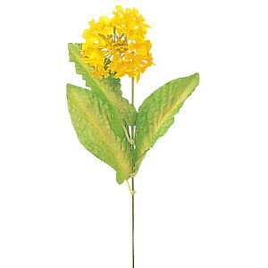 t̉ԁ@@fBXvC@؂̉(1/3)@12Zbg̔@؂̉ԁ@ԁ@Xܑ@