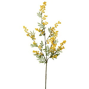 t̉ԁ@@fBXvC@~U(120)@~U@ԁ@Xܑ@