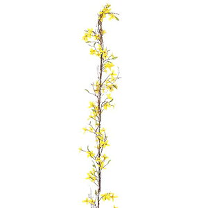 t̉ԁ@@fBXvC@MEK[h(i`oC/C[)@S180cm@ԁ@Xܑ@