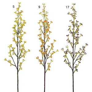 t̉ԁ@@fBXvC@AJVA@S75cm@6{Zbg̔@ԁ@Xܑ@