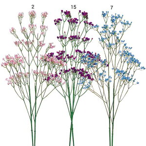 Ă̂ԁ@ԑ@JX~\E(144)iԂ̎5~8j12{Zbg̔@X܁EEChEEwZE{݂ŐlĆ@؂₩ɂȂ邨Ԃ̑