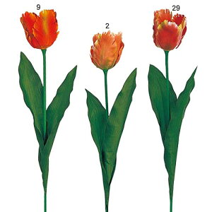 t̉ԁ@ԑ@fBXvC@p[bg`[bv@12{Zbg̔@Xܑ@