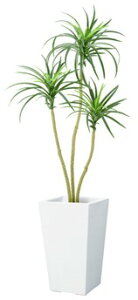 ϗtA@ԁ@fBXvC@110cmbJc[@ItBXEX܂ŐlC@|bg͕ʔ