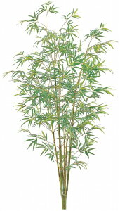 [p@ou[c[LTCY@240cm@|bg͕ʔ@[@ԍ@HXEZWłlC̑@fBXvC