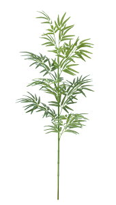 [p@ou[c[gݗĎ@150cm@2@[@ԍ@HXEZWłlC̑@fBXvC