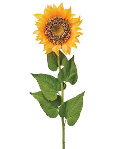 Ă̑@X܃fBXvC@j[W{Tt[(1/5)@S110cm@Ђ܂@ԁ@t@@q}@Xܑi