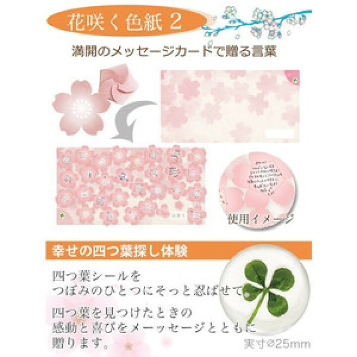 楽天市場 色紙 花咲く色紙2 桜 さくら 色紙 寄せ書き サクラ 卒業記念 日本製 ゴールドスター