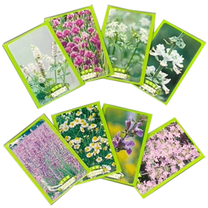 n[u̎@iiEeiȆiEmxeBEv[g@K[fjO@|pi@ƒ؉@n[u̎q@A\[g@o}LiECxg̑i G߁Eɂނ͕ϓ