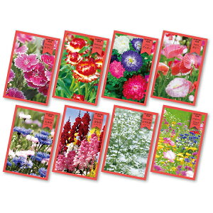 花の種(新デザイン)景品・粗品・販促品・ノベルティ・プレゼント ガーデニング 園芸用品 花の種子 アソート 名刺サイズでコンパクト バラマキ景品・イベント販促品 ※季節・時