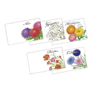 ^CXgԂ̎q@Ԃ̎@5ރA\[g捬@b̃^l܂AΊ̉Ԃ炩@|@K[fjO@̑iEiiEmxeBEeiELOi