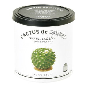 JN^XdeJN^X@30Zbg̔@{@lC̃T{e킩Ă܂Bi3ނ@傫Ȃɂ2`3N܂BT{e͔|Lbg@̑iEiiEeiEmx